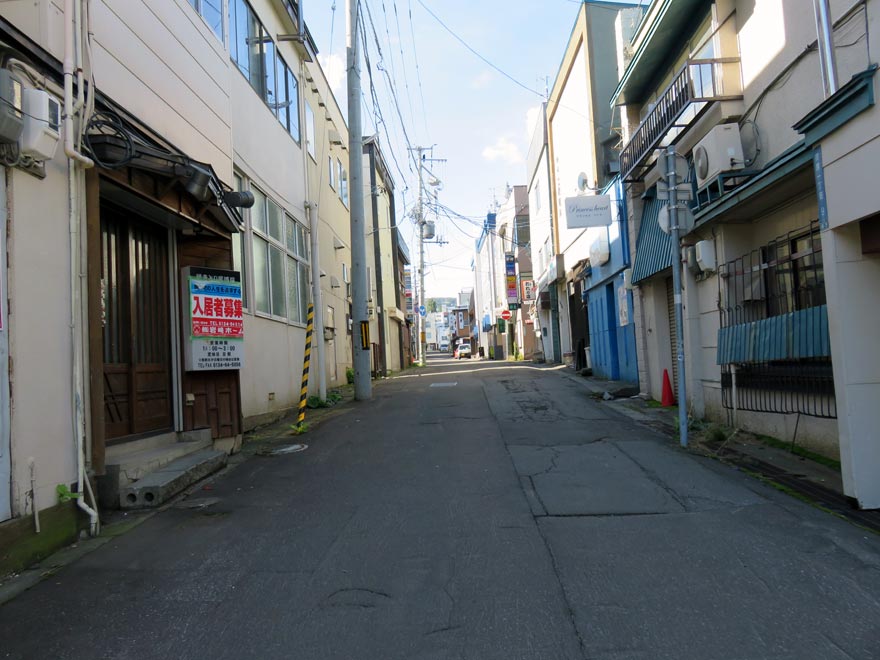 小樽花園スパル通りの様子